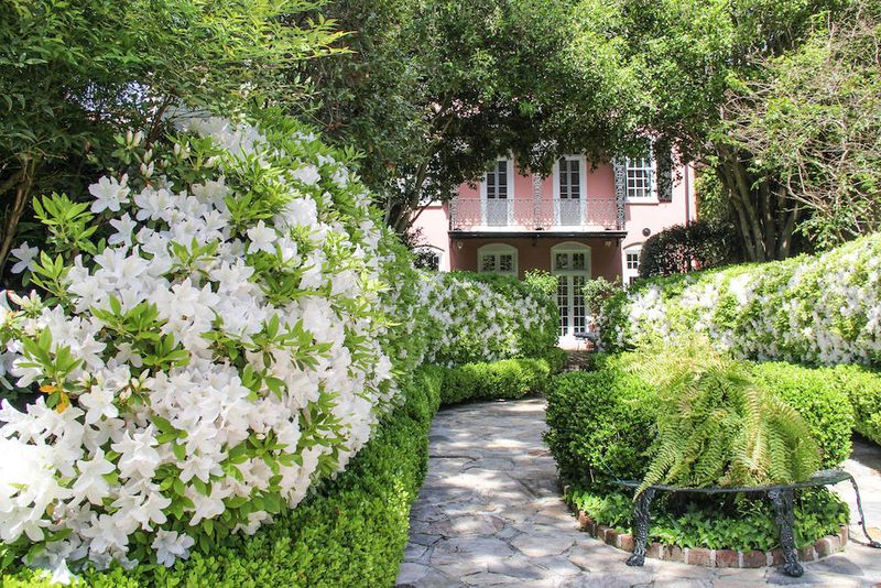 23 Tradd St, Charleston, SC 29401
