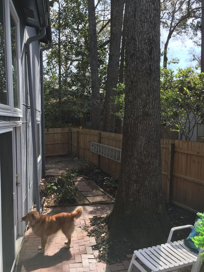 105 Kings Ct, Summerville, SC 29485
