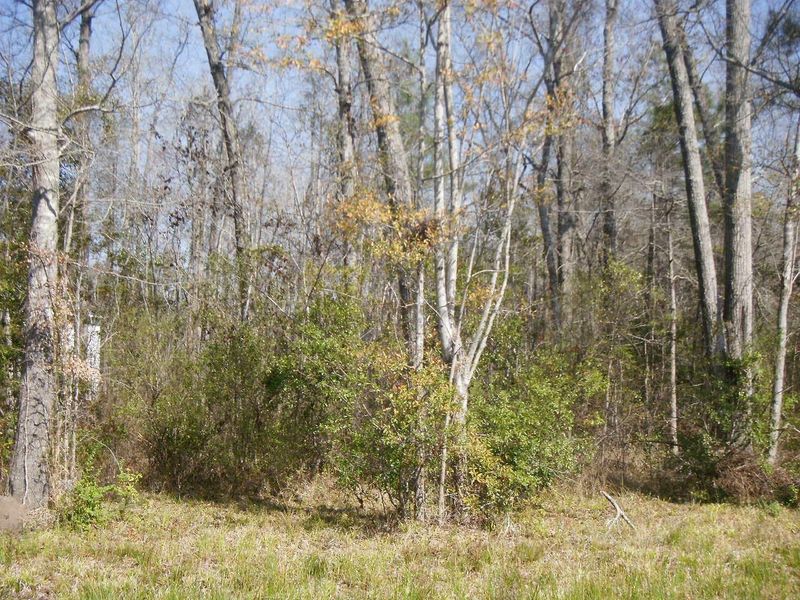 0 French Quarter Creek, Huger, SC 29450