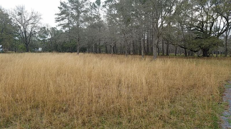 4 Clear Pond Ln, Ravenel, SC 29470