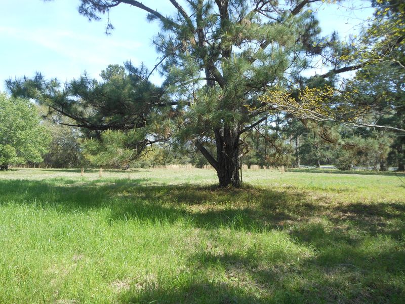 4083 Highway 174 Hw, Hollywood, SC 29449