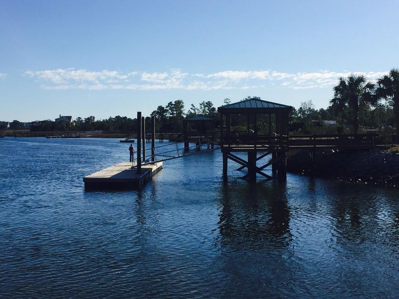 308 Morning Marsh Ln, Charleston, SC 29492