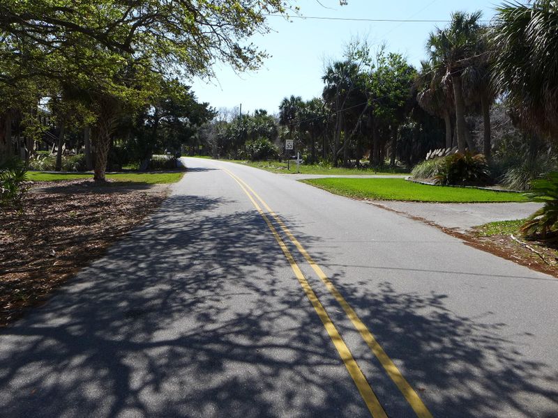 3109 Myrtle St, Edisto Beach, SC 29438