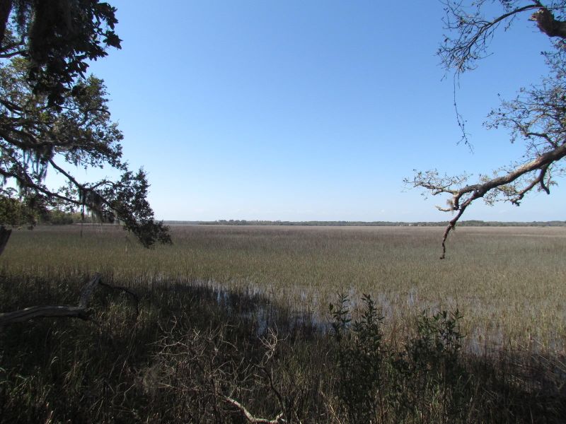 188 Palmetto Pointe, Edisto Island, SC 29438