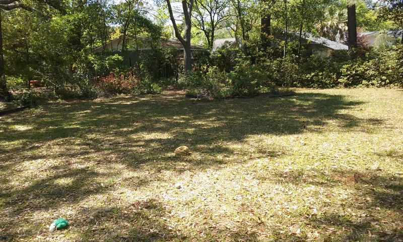 654 Bank St, Mount Pleasant, SC 29464