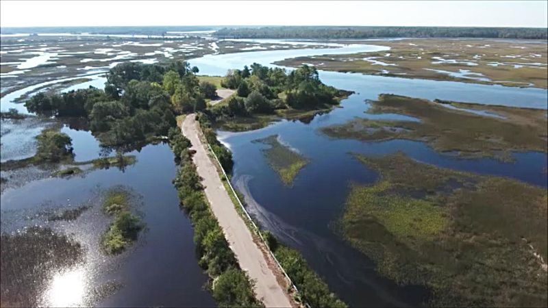 538 Lot 1 Towles Crossing Dr, Hollywood, SC 29449