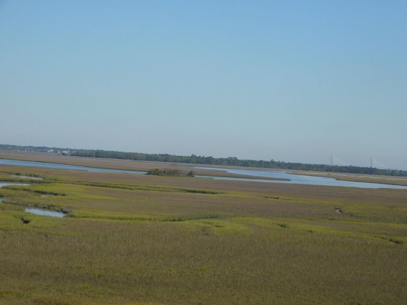 1710 E Ashley Ave, Folly Beach, SC 29439