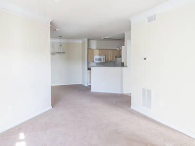 1300 Park West Blvd #1009, Mount Pleasant, SC 29466