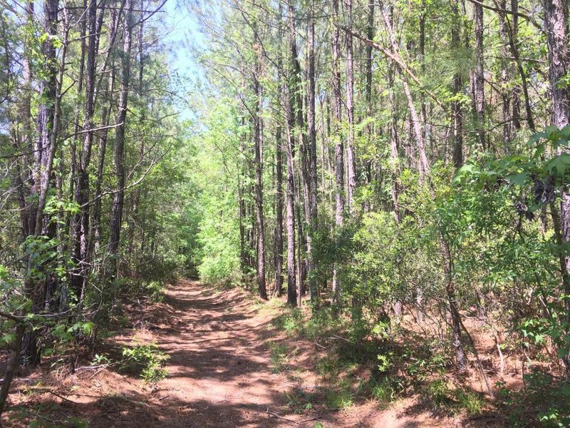 0 Calamus Pond Rd, Summerville, SC 29483