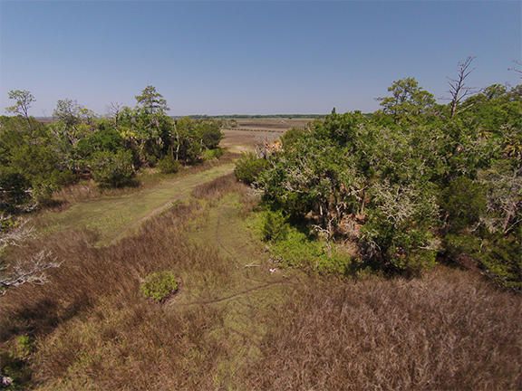 16 Saint Pierre Creek Dr, Edisto Island, SC 29438