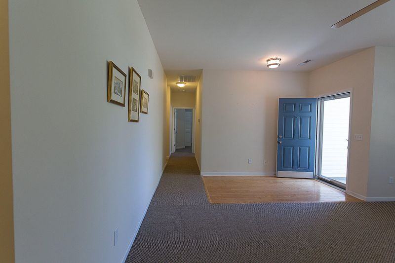 333 Weeping Willow Way, Charleston, SC 29414