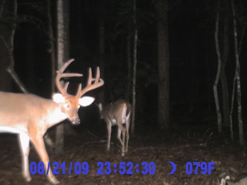 1 Clubhouse, Ridgeville, SC 29472