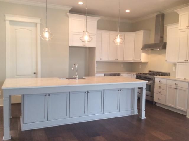 1467 Blue Cascade Dr, Mount Pleasant, SC 29464