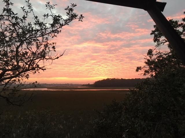 8 Island Cv, Edisto Beach, SC 29438