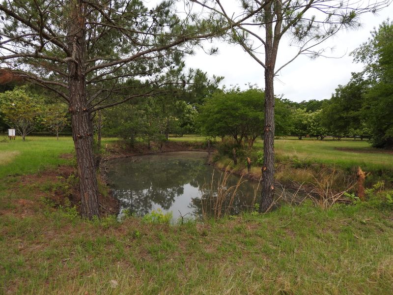 4 Chestnut Orchard Ln, Edisto Island, SC 29438