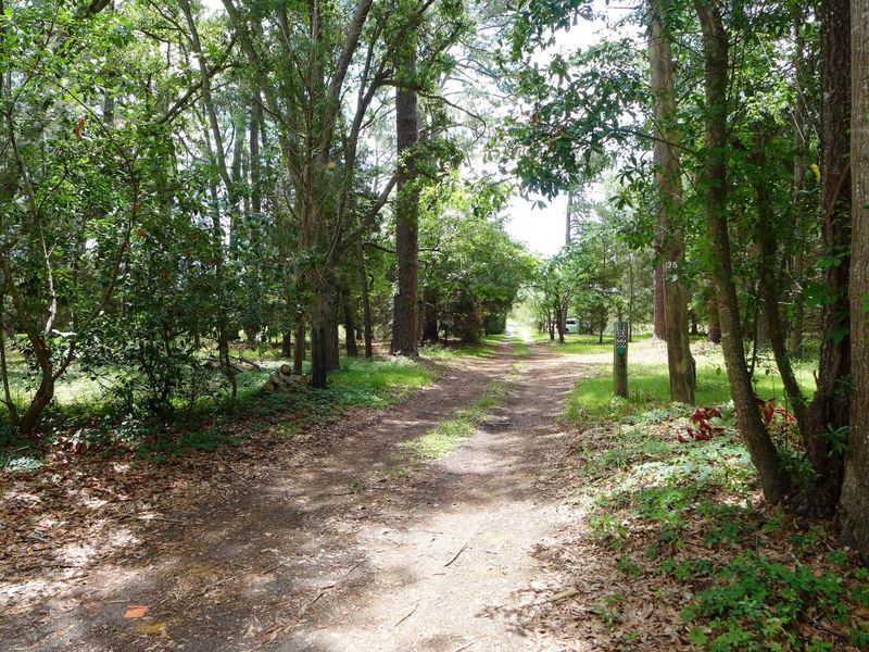 Lot D Kusso Way, Edisto Island, SC 29438
