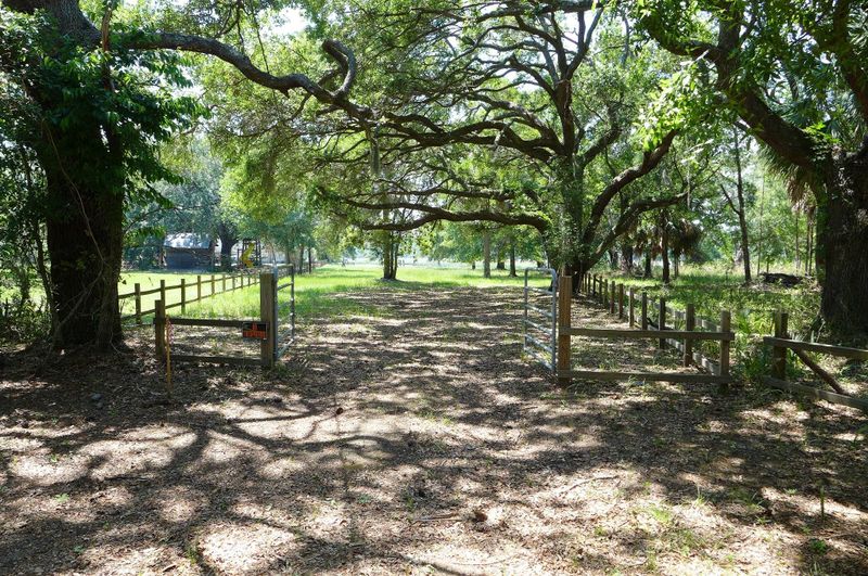 8960 Sandy Creek Rd, Edisto Island, SC 29438