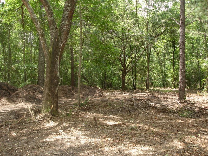 3 Klh Platt Rd, Ravenel, SC 29470