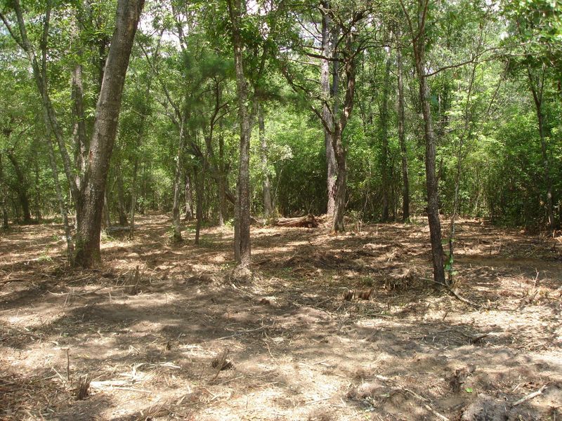 4 Klh Platt Rd, Ravenel, SC 29470