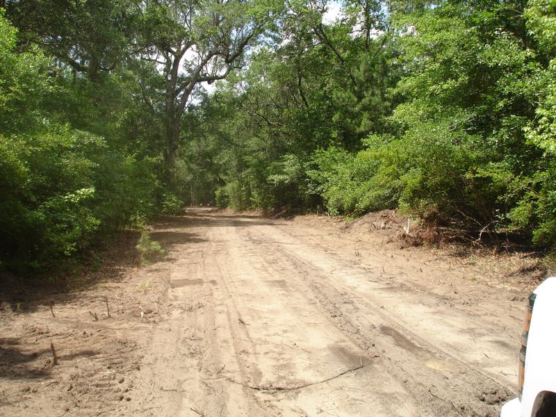 4 Klh Platt Rd, Ravenel, SC 29470