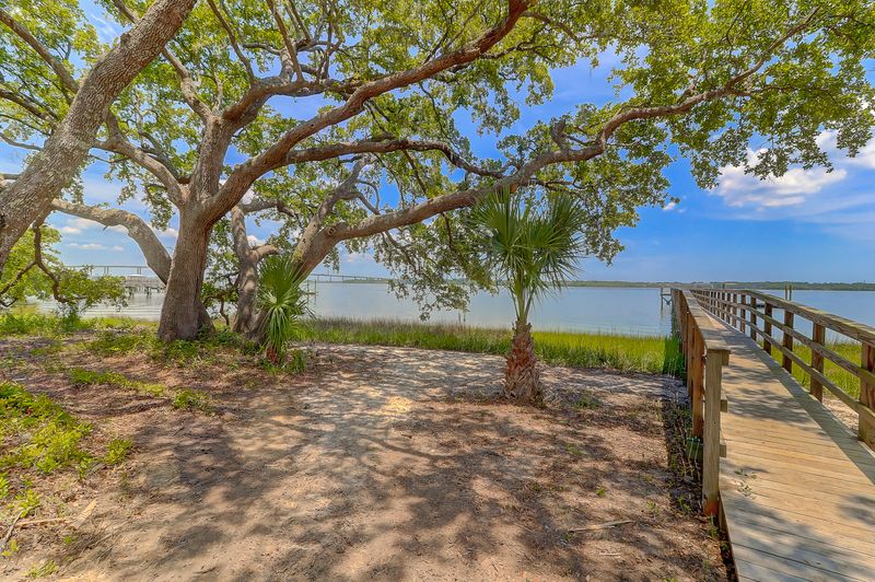 1472 Wando View St, Daniel Island, SC 29492
