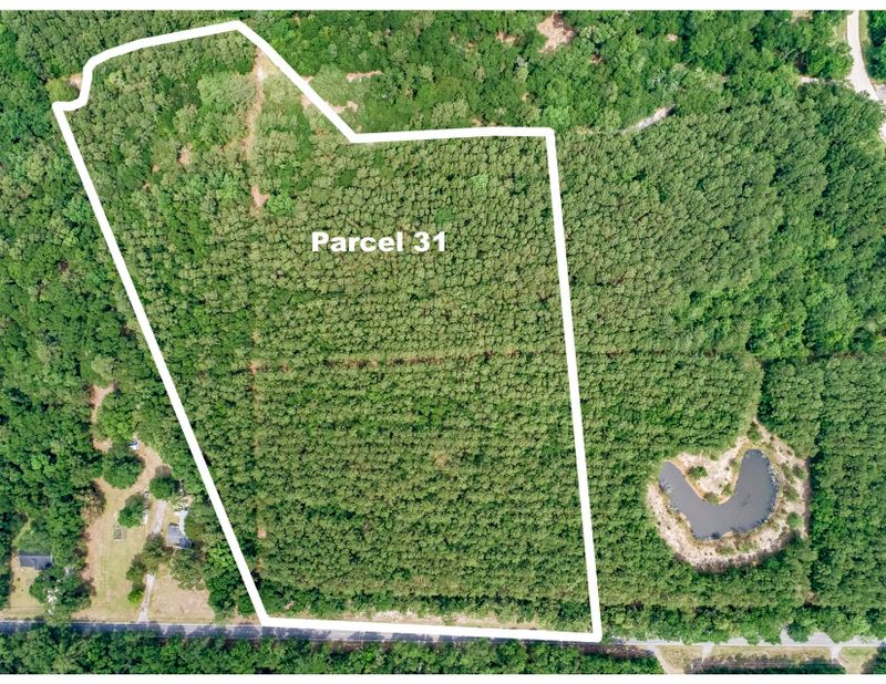 0 Pawlett Blake Ln #Parcel 31, Wadmalaw Island, SC 29487