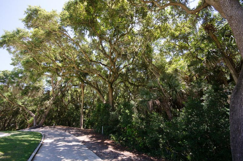 2642 High Hammock Rd, Johns Island, SC 29455