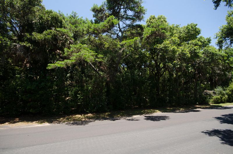 2642 High Hammock Rd, Johns Island, SC 29455