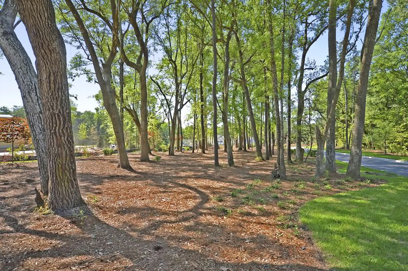 9910 Winged Elm St, Ladson, SC 29456