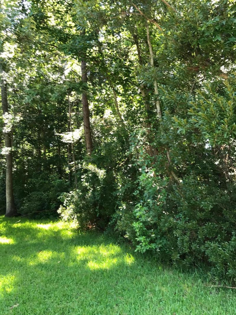000 Shenandoah Ct, Summerville, SC 29485