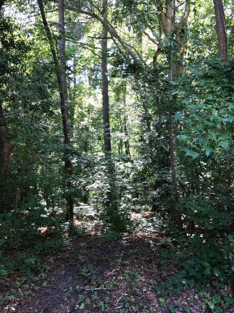 000 Shenandoah Ct, Summerville, SC 29485