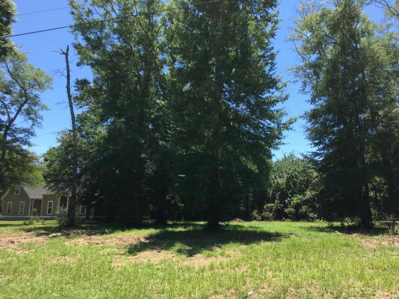 4 Th Ave, Mount Pleasant, SC 29464