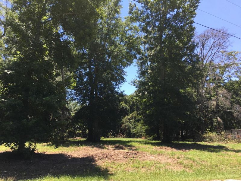 4 Th Ave, Mount Pleasant, SC 29464
