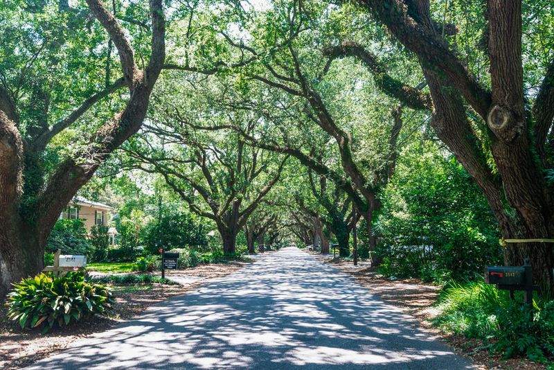 213 Hinson Ave, Charleston, SC 29412