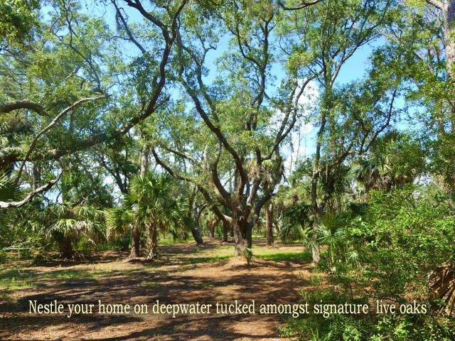 6 Tranquility Ln, Edisto Island, SC 29438