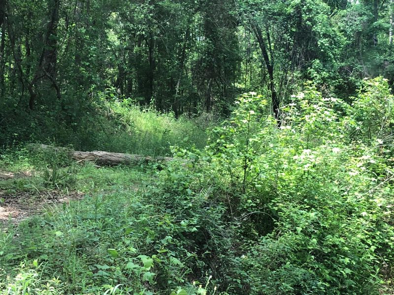 0 John Gatlin Rd, Bonneau, SC 29431