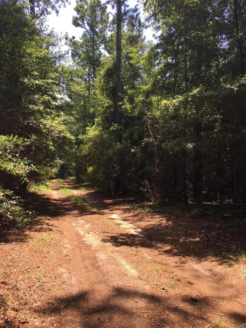 Lot 10 Bloody Point Rd, Wadmalaw Island, SC 29487