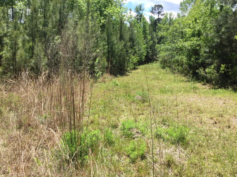 0 Whiterock Ln Lot 2, Moncks Corner, SC 29461