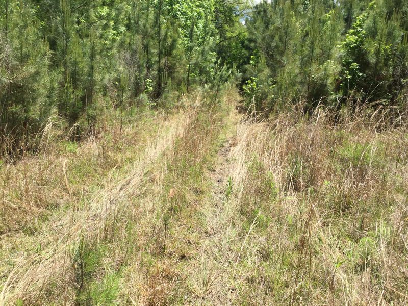 0 Whiterock Ln Lot 2, Moncks Corner, SC 29461