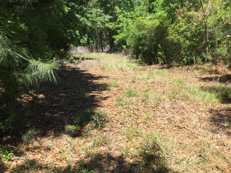 0 Whiterock Ln Lot 2, Moncks Corner, SC 29461