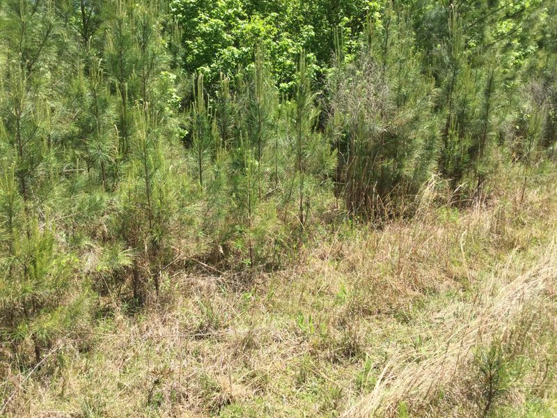 0 Whiterock Ln Lot 2, Moncks Corner, SC 29461