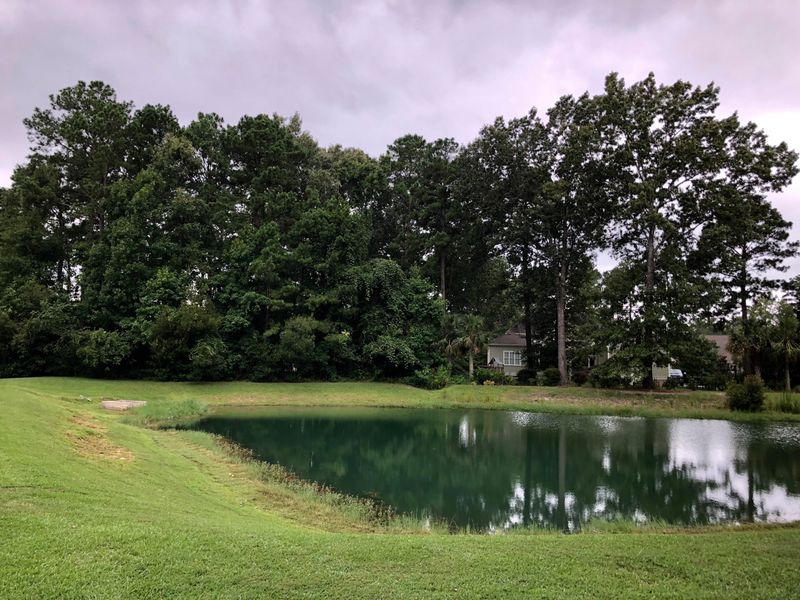 4104 Duck Club Rd, Hollywood, SC 29470