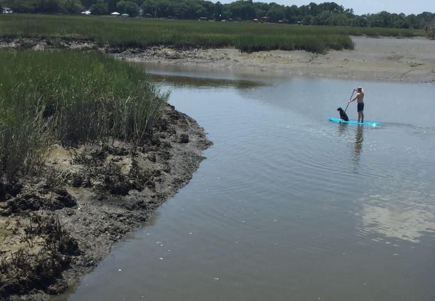 41 Fore Deck Ln, Edisto Island, SC 29438