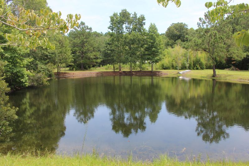 7935 Morris Bing Rd, Yonges Island, SC 29449
