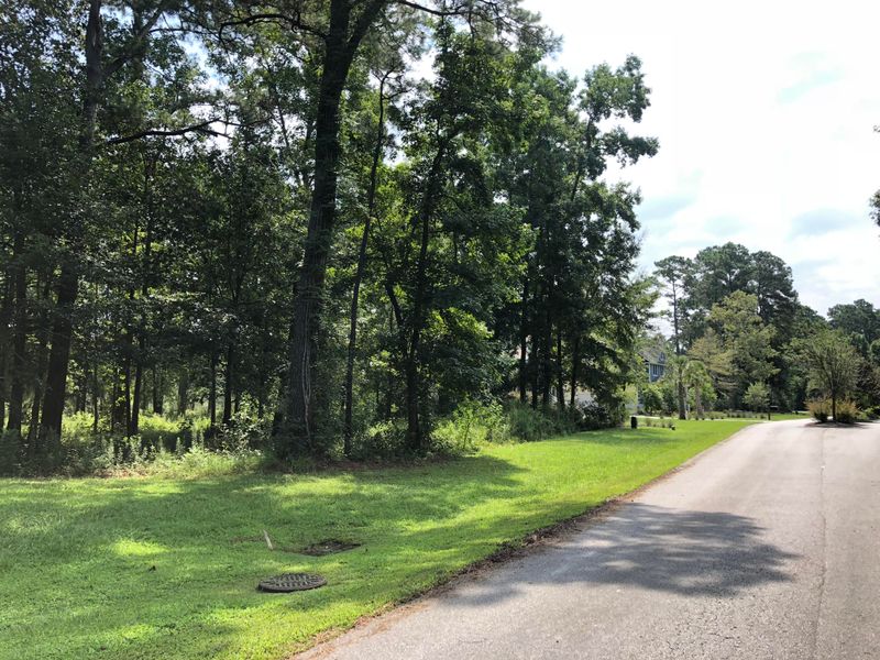 Lot 73 Lady Banks Ln Lot 73, Ravenel, SC 29470