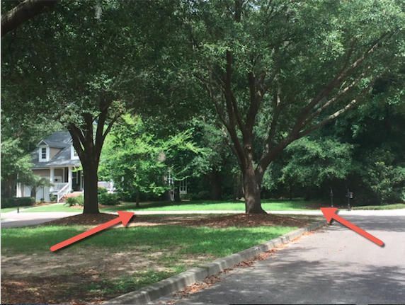 Lot 133 Blockade Runner Ct, Charleston, SC 29414