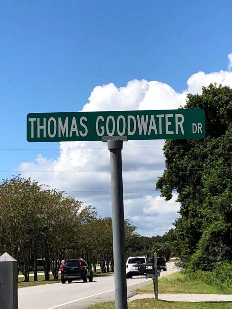 0 Thomas Goodwater Dr, Awendaw, SC 29429