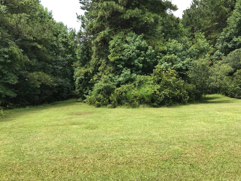 5625 Golden Rice Ln, Ravenel, SC 29470
