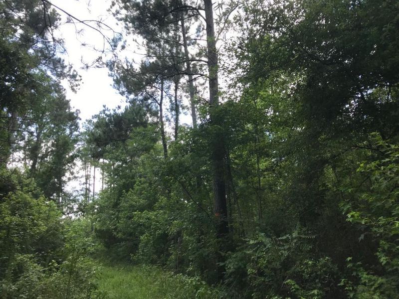 0 Hwy 45, Jamestown, SC 29453