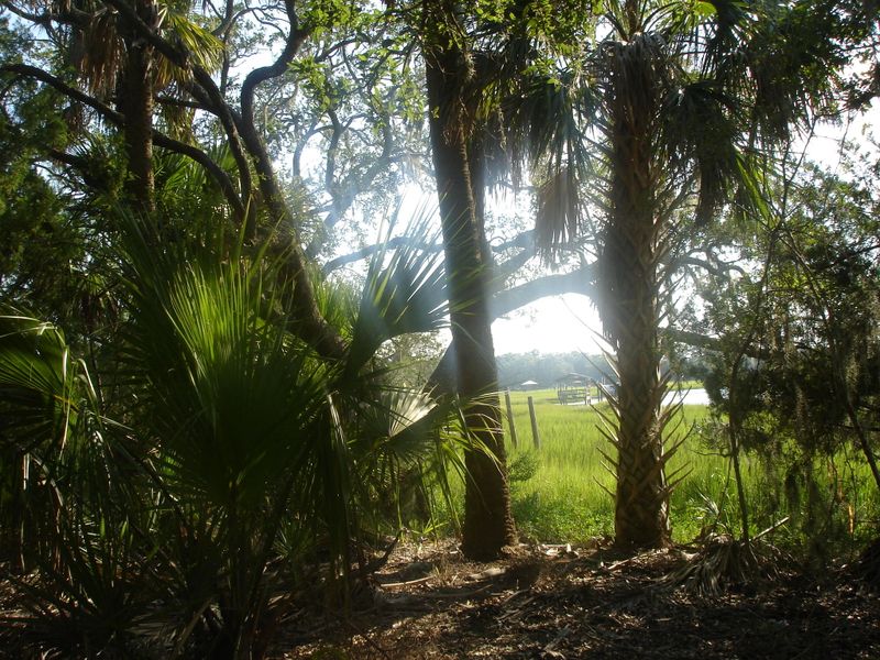 8262 Palmetto Rd, Edisto Island, SC 29438